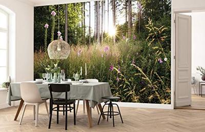 Komar Home; Komar Colours Fotobehang Summer Glade - X7-1005