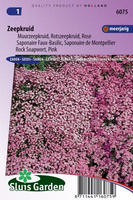 Saponaria Ocymoides zaden Zeepkruid