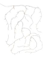 HEMA Lichtsnoer 12m met 200 LED ijspegels (wit) - thumbnail