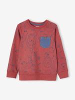 T-shirt met sweater effect en dierenmotiefjes voor jongens terracotta - thumbnail