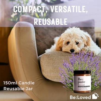 Beloved pure candle kaars