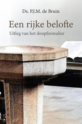 Een rijke belofte - P.J.M de Bruin - ebook