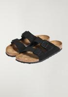 Arizona BS - thumbnail