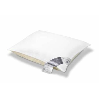 Vandyck Pure Nature Tweekamer Kussen 60x70