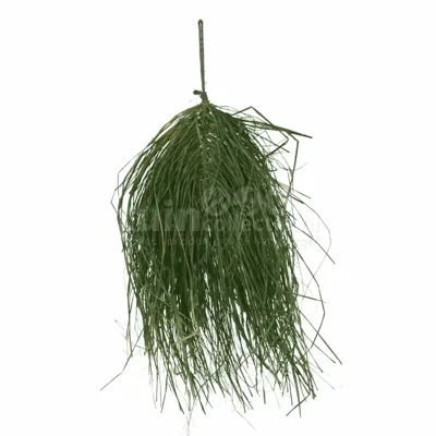 Wanddecoratie Palmblad Groen 57cm