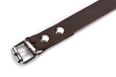 Lederen honden halsband bruin - 62 cm x 25 mm