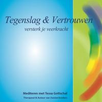 Tegenslag en Vertrouwen - thumbnail