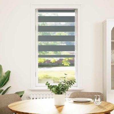 VidaXL Zebra rolgordijn 65x100 cm stofbreedte 60,9 cm donkergrijs
