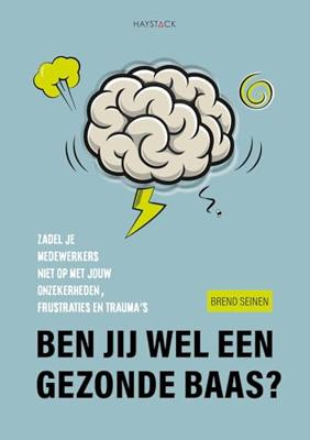 Ben jij wel een gezonde baas? - Brend Seinen - ebook