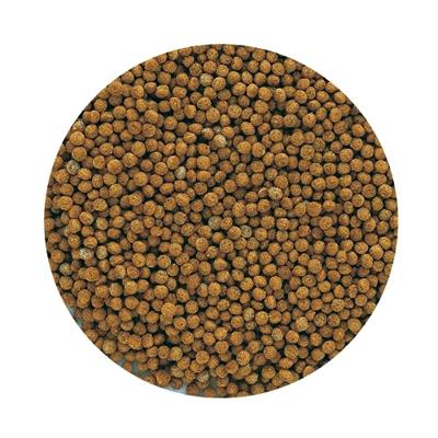 Mangime per pesci - TYROL - Pellet di insetti per pesci rossi - 250 ml - 4 insetti, senza coloranti, senza cereali