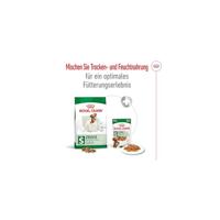 Royal Canin Mini Adult natvoer hond (in saus) 1 doos (12 x 85 g) - thumbnail