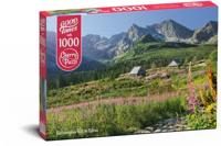 Gasienicowa hall in Tatras Puzzel 1000 Stukjes - thumbnail
