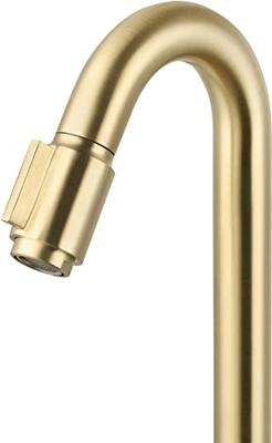 Saqu Essential 2.0 fonteinkraan geborsteld messing