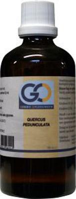 GO Quercus pedunculata bio 100 Milliliter