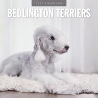 Bedlington Terrier Kalender 2027 - thumbnail