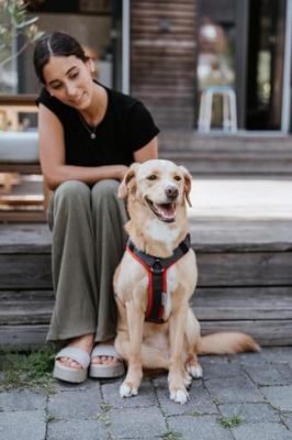 HUNTER Hondentuigje Maldon Up, rood/grijs, Maat: M-L