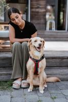 HUNTER Hondentuigje Maldon Up, rood/grijs, Maat: M-L - thumbnail