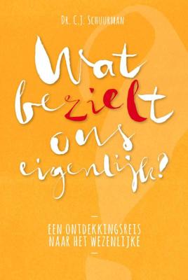 Wat bezielt ons eigenlijk? (Paperback)