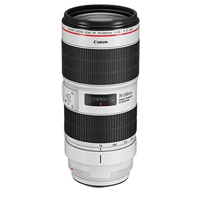 Canon EF 85mm F/1.4L IS USM