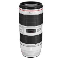 Canon EF 85mm F/1.4L IS USM - thumbnail