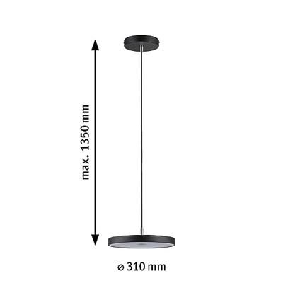 Paulmann Hildor 96782 LED-hanglamp LED 22 W Zwart (mat)