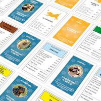 Monopoly Dogs - Bordspel - WINNENDE MOVES - Monopoly met honden van verschillende rassen. - thumbnail