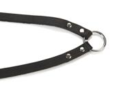 BZ KOPPEL 2 HOND ZWT 30X12 - thumbnail