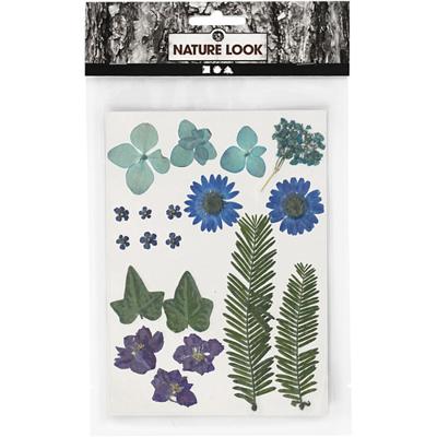 Creativ Company Gedroogde bloemen en bladeren blauw, 19dlg.