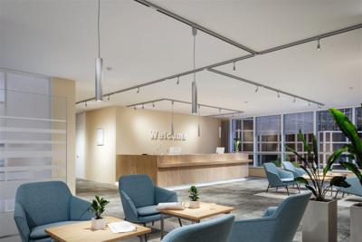 Paulmann 91380 ProRail3 T-Connect Erde 230V-railsysteemcomponenten T-verbinder ProRail3 Zwart