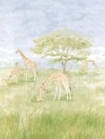 Dutch Cute Walls- Giraffes 212x280cm - CW6112-2 - thumbnail