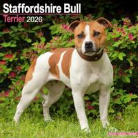 Staffordshire Bull Terrier Calendar 2026 Square Dog Breed Wall Calendar - 16 Month - thumbnail