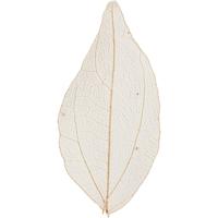 Creativ Company Skeleton leaves naturel gedroogde bladeren, 20st. - thumbnail