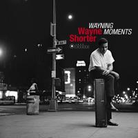Wayning Moments - LP (8436569193341) - thumbnail