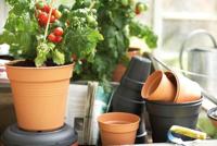Elho Green Basics Kweekpot Mild Terra Ø17cm - thumbnail
