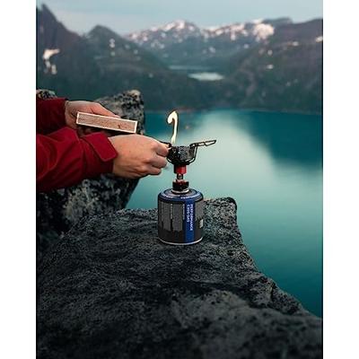 Coleman Performance 300 Gas