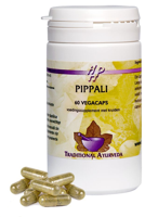 Holisan Pippali 60 Capsules - thumbnail