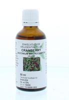 Cruydhof Cranberry vrucht tinctuur 50 Milliliter - thumbnail