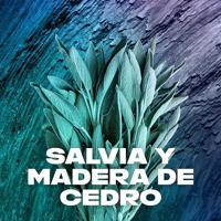 Axe Axe Douchegel Apollo - 400 ml - thumbnail