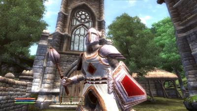 The Elder Scrolls 4 Oblivion GOTY Edition (platinum) The Elder Scrolls 4 Oblivion GOTY Edition (platinum)