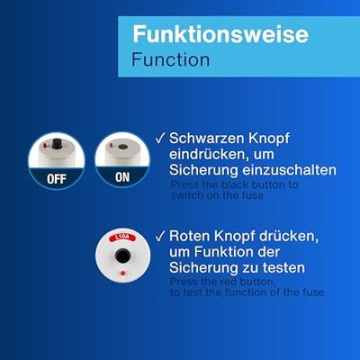 REV 0505130555 Neozed zekering Met mechanische beveiligingsweergave 1-polig 10 A 250 V, 380 V