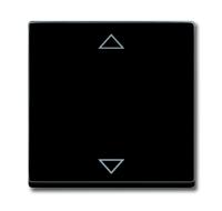 Busch-Jaeger Sonstiger Schalter/Taster 2CKA006430A0386 Ingangsmodule ↑/↓ Diepzwart (RAL 9005), Zwart 1 stuk(s) - thumbnail