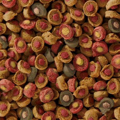 Sera Koi Professional Probiotic 500g - Probiotische Koivoer voor Groei en Heldere Vijvers Sera Koi Professional Probiotic 500g - Probiotische Koivoer voor Groei en Heldere Vijvers