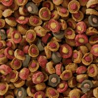 Sera Koi Professional Probiotic 500g - Probiotische Koivoer voor Groei en Heldere Vijvers - thumbnail