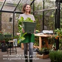 Elho green basics growpot square all-in-1 leaf green 30 - thumbnail