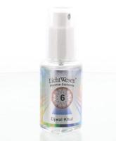 Lichtwesen Djwal khul tinctuur 6 30 Milliliter - thumbnail