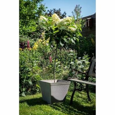 Vierkante pot - GARDEN ID - Green Care Impact Taupe - 39 x 33 cm - 10 jaar garantie - 100% gerecycled - UV-/gelbestendig Vierkante pot - GARDEN ID - Green Care Impact Taupe - 39 x 33 cm - 10 jaar garantie - 100% gerecycled - UV-/gelbestendig