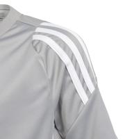 adidas Tiro 24 Voetbalshirt Kids Lichtgrijs Wit - thumbnail