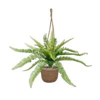 Boston Varen PL kunstplant 65cm - thumbnail