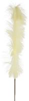 Non-branded Pluim Tak 4 X 9 X 112 Cm Crème - thumbnail