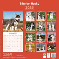 Siberian Husky Kalender 2026 - thumbnail